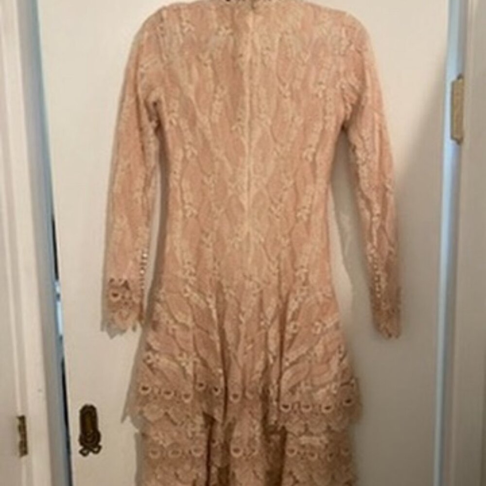 Legally Red Pink Wedding Dress